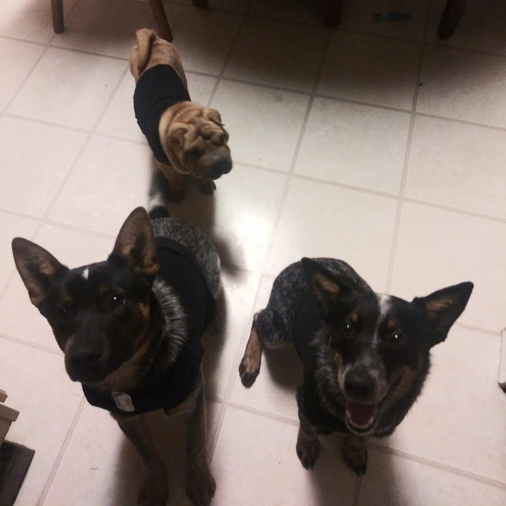 Meet your Posher, Chloe